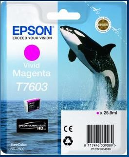 EPSON ink bar ULTRACHROME HD - Vivid Magenta - T7603 (25,9 ml) (C13T76034010)