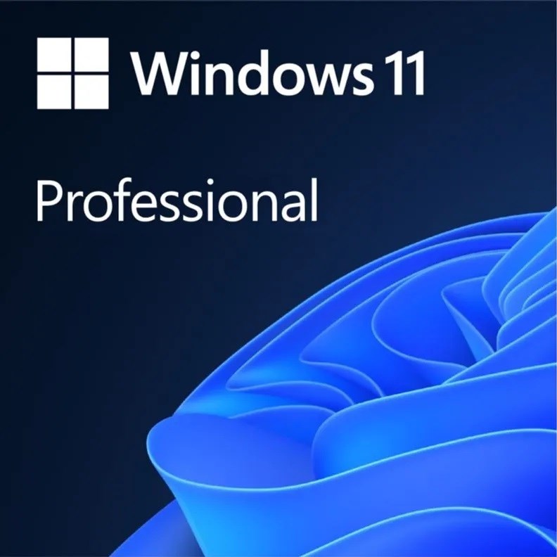 Windows Pro 11 64-BIT ESD FQC-10572