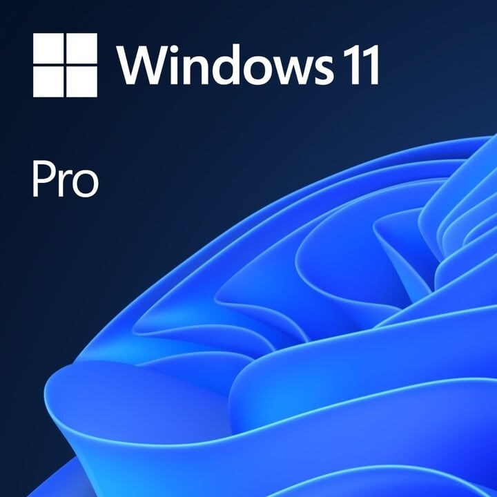 Windows 11 Pro 64Bit ENG OEM FQC-10528