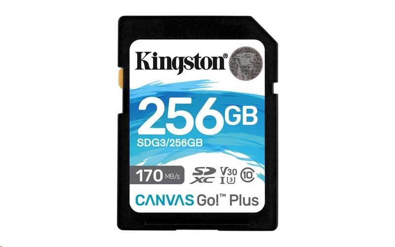 Kingston SDXC Class 10 256GB SDG3/256GB