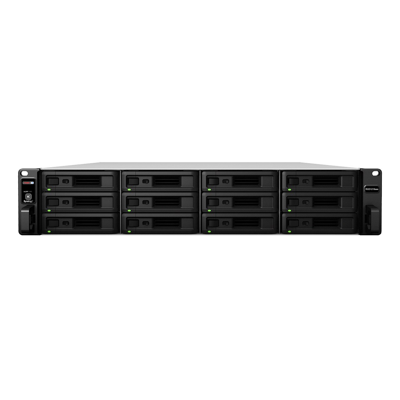 Synology RackStation RXD1219sas