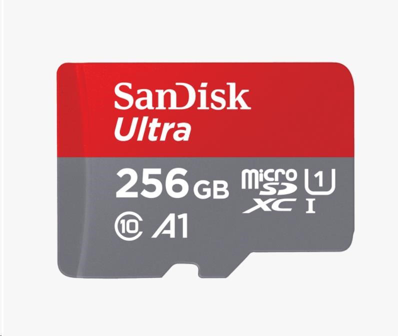 SanDisk MicroSDXC Class 10 256GB SDSQUNR-256G-GN6TA