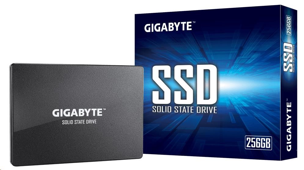 GIGABYTE SSD 256GB SATA GP-GSTFS31256GTND