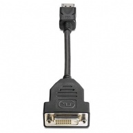 HP DisplayPort To DVI-D Adapter