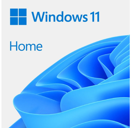 Windows Home 11 64-BIT ESD