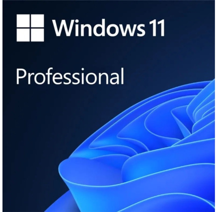 Windows Pro 11 64-BIT ESD