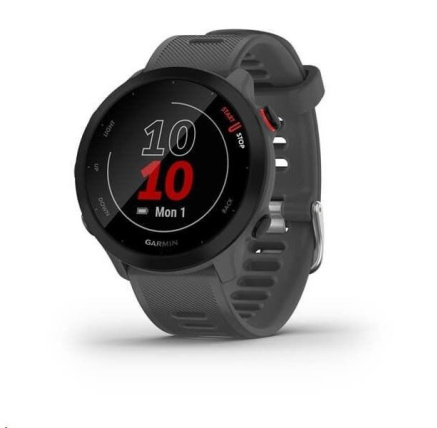 Garmin GPS sportovní hodinky Forerunner 55 Grey, EU